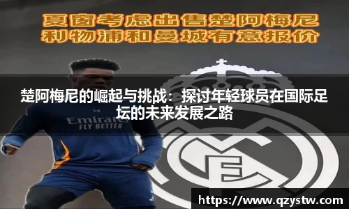 星空体育平台app