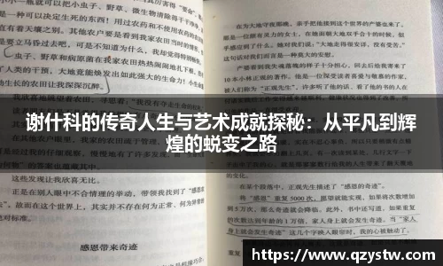 谢什科的传奇人生与艺术成就探秘：从平凡到辉煌的蜕变之路