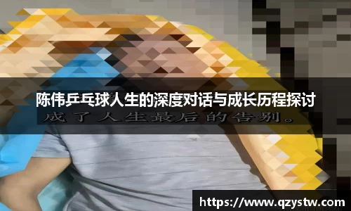 陈伟乒乓球人生的深度对话与成长历程探讨
